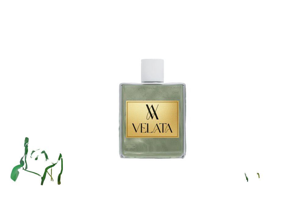 Momentum - 18 ML