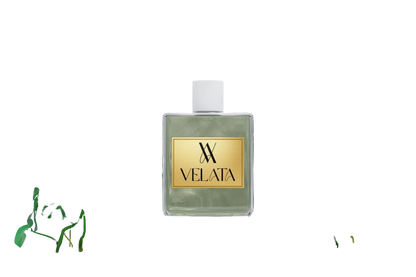 Momentum - 18 ML